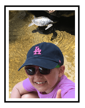 Screen Shot 2017-08-28 at 7.31.56 PM