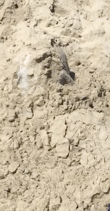 Screen Shot 2017-09-05 at 1.06.24 PM