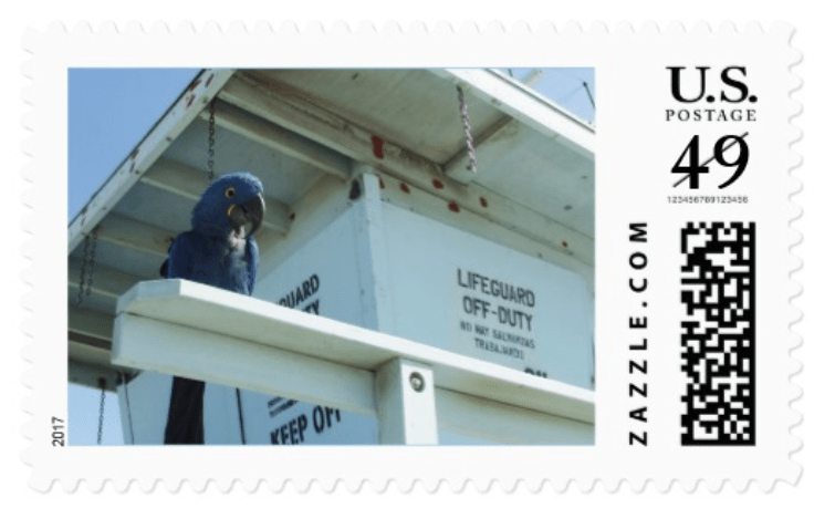 Screen Shot 2017-06-29 at 3.12.12 PM.png