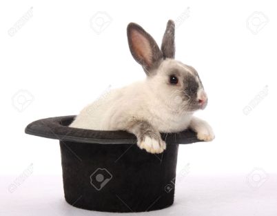 6402003-Cute-bunny-rabbit-climbing-out-of-a-black-hat-Stock-Photo-magician.jpg